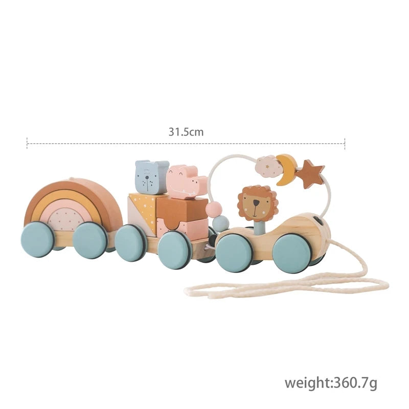 Wooden Montessori Train Set