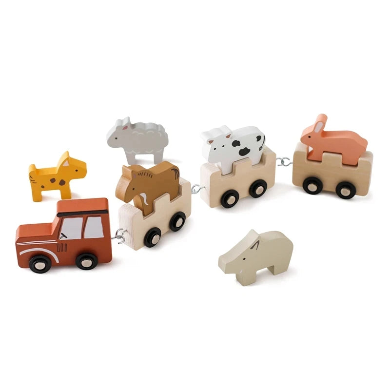 Wooden Montessori Train Set